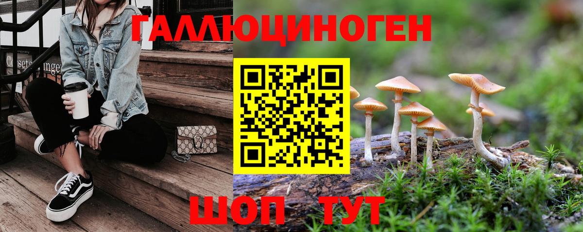 Галлюциногенные грибы Psilocybine cubensis Тавда