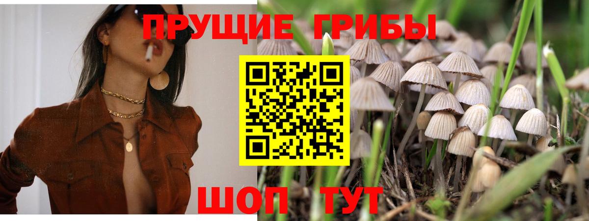 Псилоцибиновые грибы Magic Shrooms  Вход с VPN  Тавда  Псилоцибиновые грибы ЛСД 